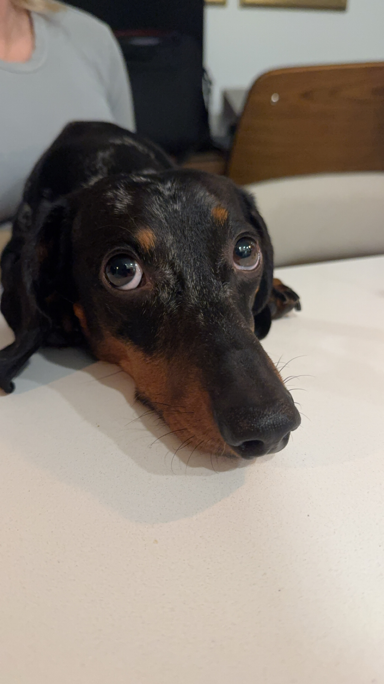 Loki