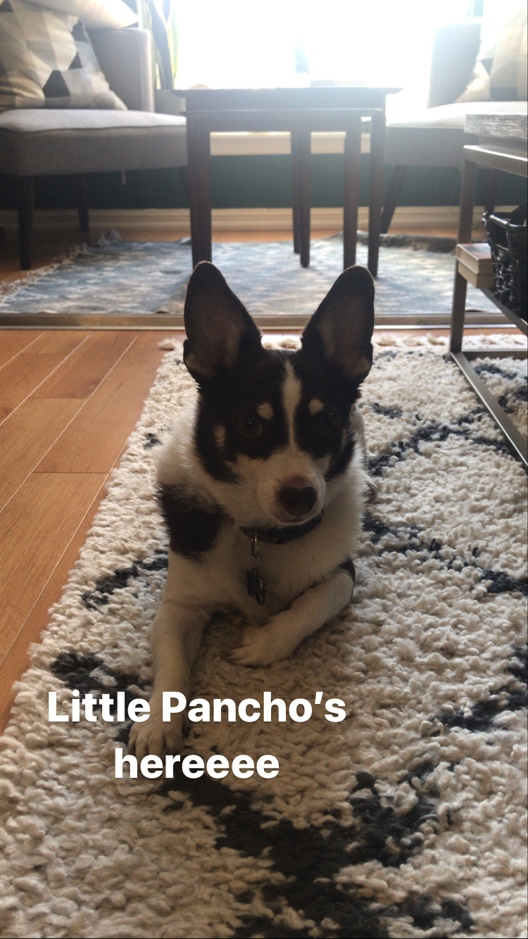 Pancho