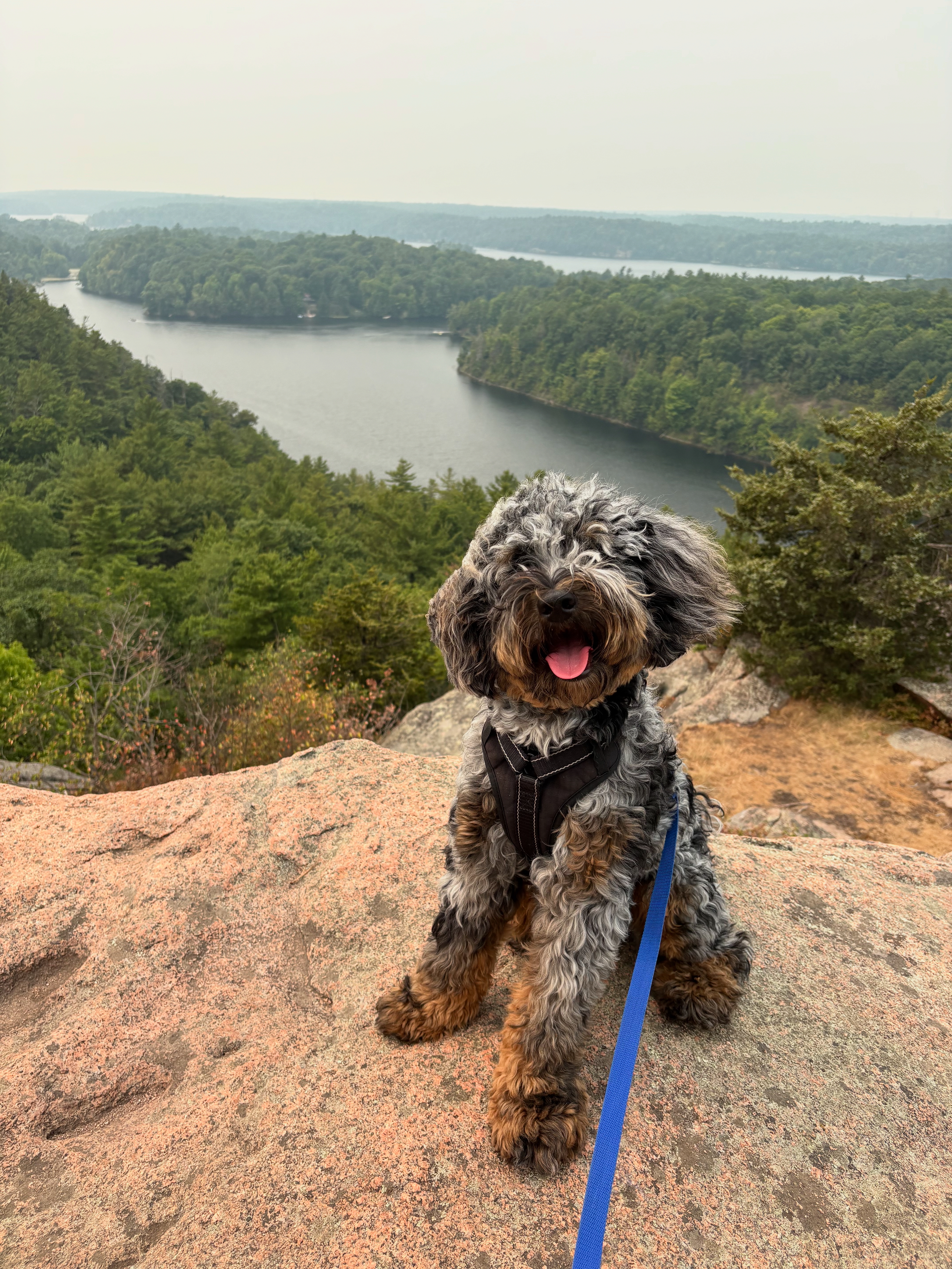 Baxter